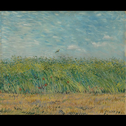 Van Gogh Giclée, Korenveld met patrijs