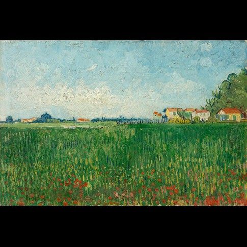Van Gogh Giclée, Veld met klaprozen