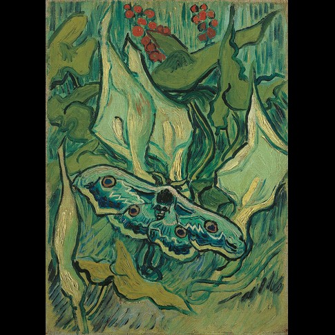 Van Gogh Giclée, Grote nachtpauwoog