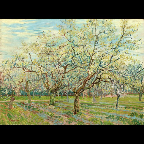 Van Gogh Giclée, De witte boomgaard