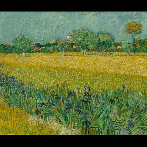 Van Gogh Giclée, Veld met irissen bij Arles